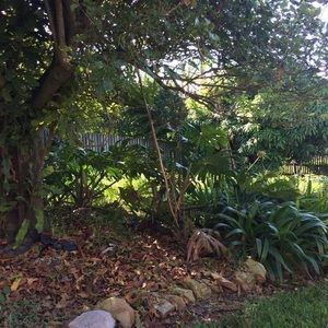 Meet your Posher, Ann